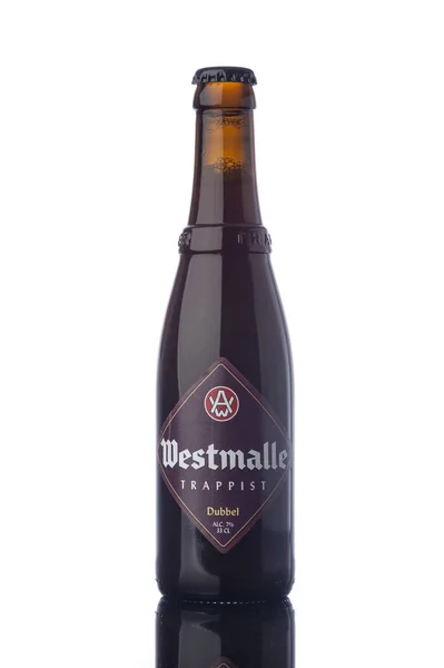 Westmalle Bottle Trappist Beer — Stock Photo, Image