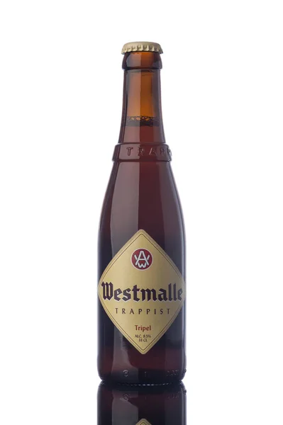 Westmalle Bottle Trappist Beer — Stock Photo, Image