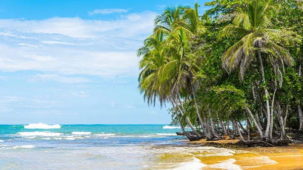 Beautiful beach view. Tropical beach with palms. Holiday mood. Costa Rica