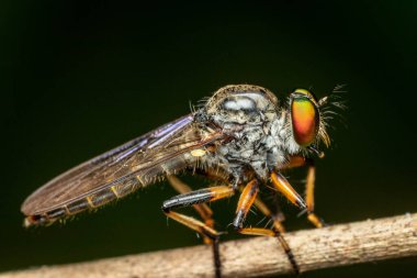Hırsız makroyu yakın mesafeden uçurur.