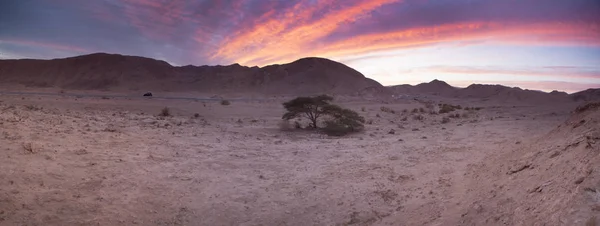 Israel, pământ sfânt, religie, birou de turism — Fotografie, imagine de stoc