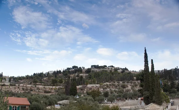 イスラエルの聖地、宗教、ツアーデスク — ストック写真