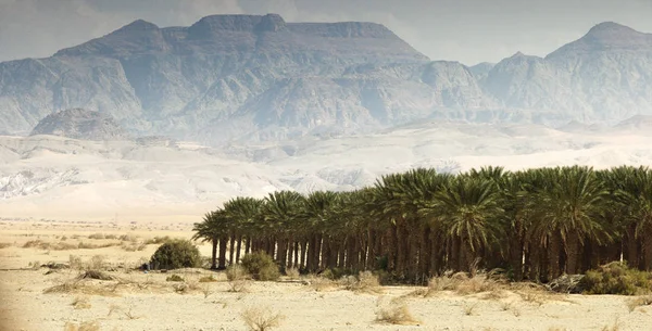 Israel, heiliges Land, Religion, Reisebüro — Stockfoto