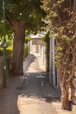 Napoli, Roma, İtalya, Troyan, Positano