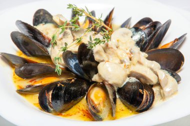 yemekler ve aperatifler