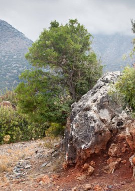 manzara, tatil, gezi, Yunanistan, Girit, Bali, Rethymnon, seyahat, tatil, otel, butik otel, plaj, deniz, turizm