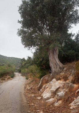 manzara, tatil, gezi, Yunanistan, Girit, Bali, Rethymnon, seyahat, tatil, otel, butik otel, plaj, deniz, turizm