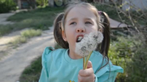 Mutlu sarışın kız bir karahindiba çiçeğine üflüyor ve dışarıda gülüyor. — Stok video