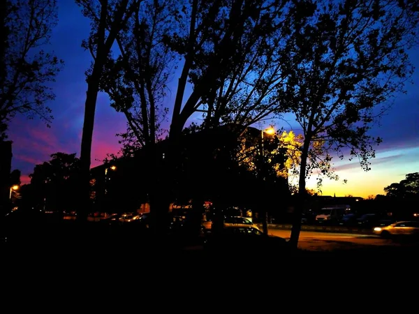 Trees Black Silhuettes Dark Blue Night Sky Parking Lot — Stock Photo, Image