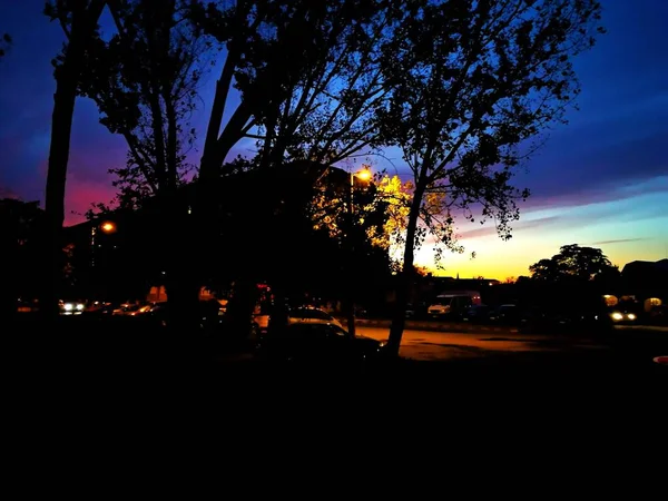 Bäume Schwarze Silhouetten Dunkelblauen Nachthimmel Der Nähe Eines Parkplatzes — Stockfoto