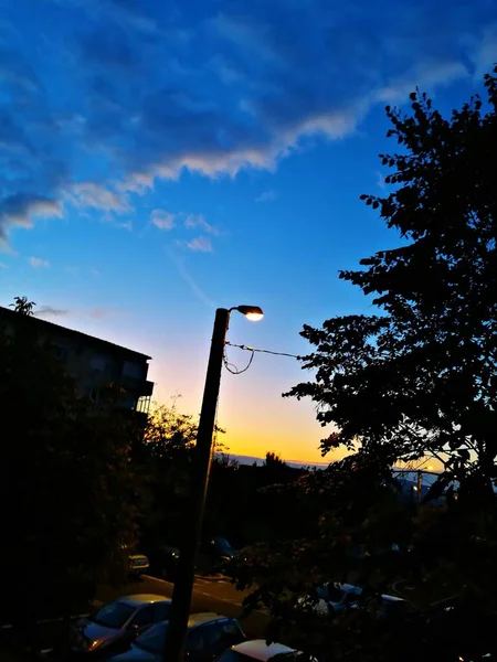 Lichtmast Vor Einem Parkplatz Abendlicht Vordergrund Eine Baumsilhouette — Stockfoto