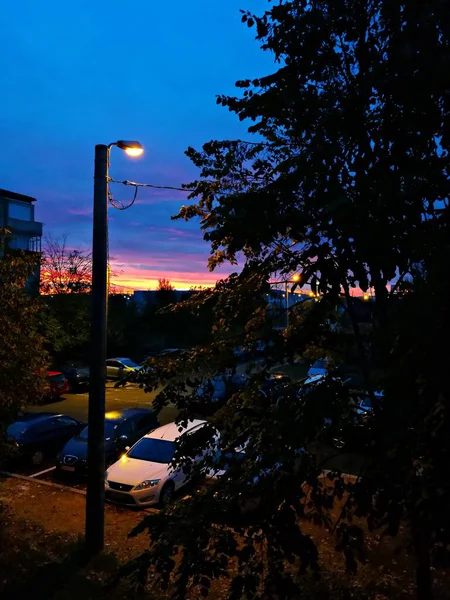 Lichtmast Vor Einem Parkplatz Abendlicht Vordergrund Eine Baumsilhouette — Stockfoto