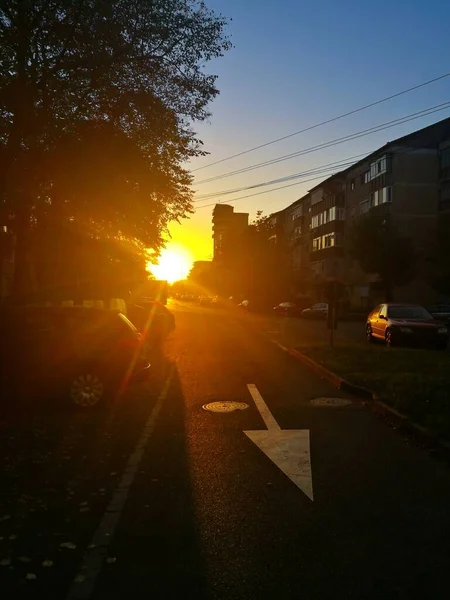Sonnenschein Mit Blendenden Strahlen Bei Sonnenuntergang Entlang Einer Straße Zwischen — Stockfoto
