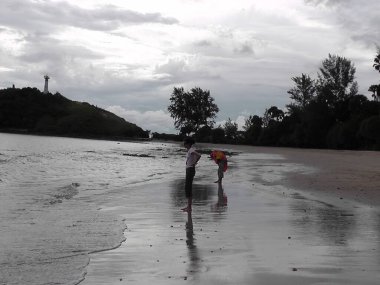 Langkawi, Malezya 'da bir plajda. Doğa parkı. Etrafta kimse yok..