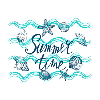Deniz kabukları, yaz tatilleri, deniz kabukları ve deniz yıldızları seti, vektör. El yapımı deniz kabukları ve deniz balıkları. Modern kaligrafi için güzel bir yazı..