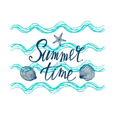Deniz kabukları, yaz tatilleri, deniz kabukları ve deniz yıldızları seti, vektör. El yapımı deniz kabukları ve deniz balıkları. Modern kaligrafi için güzel bir yazı..