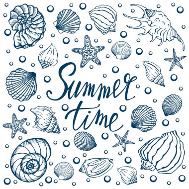 Deniz kabukları, yaz tatilleri, deniz kabukları ve deniz yıldızları seti, vektör. El yapımı deniz kabukları ve deniz balıkları. Modern kaligrafi için güzel bir yazı..