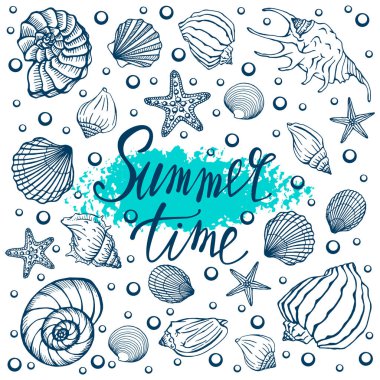 Deniz kabukları, yaz tatilleri, deniz kabukları ve deniz yıldızları seti, vektör. El yapımı deniz kabukları ve deniz balıkları. Modern kaligrafi için güzel bir yazı..