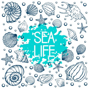 Deniz kabukları, yaz tatilleri, deniz kabukları ve deniz yıldızları seti, vektör. El yapımı deniz kabukları ve deniz balıkları. Modern kaligrafi için güzel bir yazı..