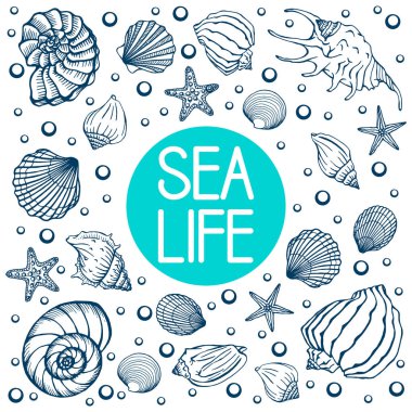 Deniz kabukları, yaz tatilleri, deniz kabukları ve deniz yıldızları seti, vektör. El yapımı deniz kabukları ve deniz balıkları. Modern kaligrafi için güzel bir yazı..