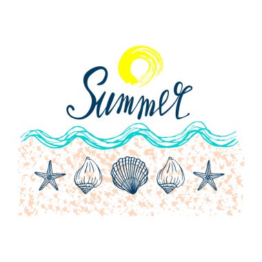 Deniz kabukları, yaz tatilleri, deniz kabukları ve deniz yıldızları seti, vektör. El yapımı deniz kabukları ve deniz balıkları. Modern kaligrafi için güzel bir yazı..