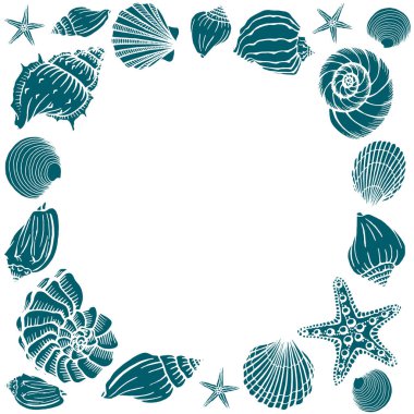 Deniz kabukları çerçevesi. Deniz ve okyanus tasarım şablonu. Vektör çizimi. Vektör kart şablonları. Kartvizit, davetiye, düğün ve web tasarımı için mükemmel.
