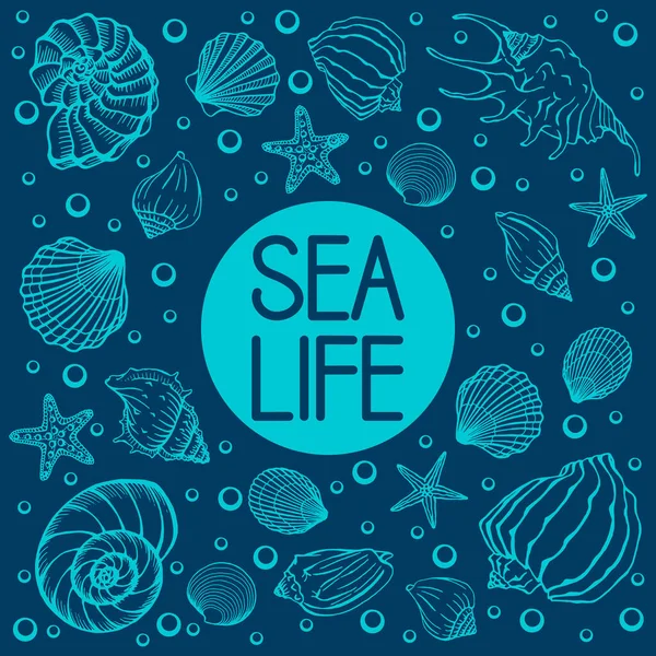 Deniz Kabukları Yaz Tatilleri Deniz Kabukları Deniz Yıldızları Seti Vektör — Stok Vektör