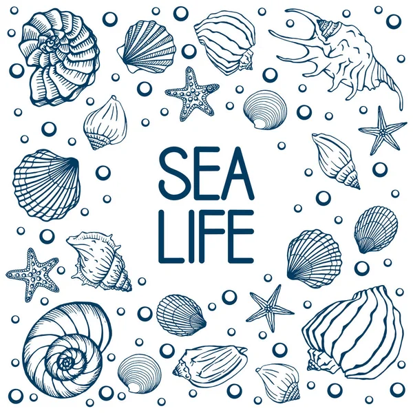 Deniz Kabukları Yaz Tatilleri Deniz Kabukları Deniz Yıldızları Seti Vektör — Stok Vektör