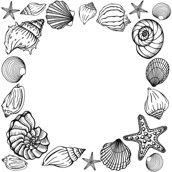 Moldura Seashells Modelo Design Mar Oceano Ilustração Vetorial Modelos Cartões —  Vetores de Stock