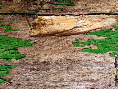 Eksik bir parça ve eski yeşil boya kalıntıları olan bir tahta.