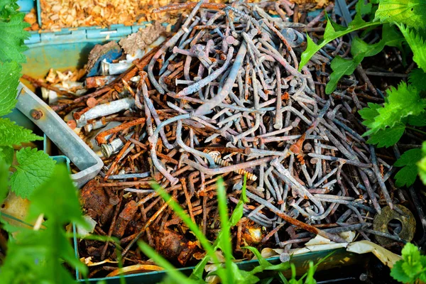 Kullanılmış paslı çiviler.