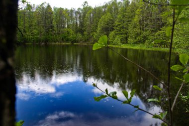 Göl kıyısından manzara. Bulutlar suya yansıyor. bahar yeşili kıyıları