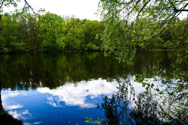 池の岸からの眺め 雲は水の中に反射します 春の緑の海岸 — ストック写真