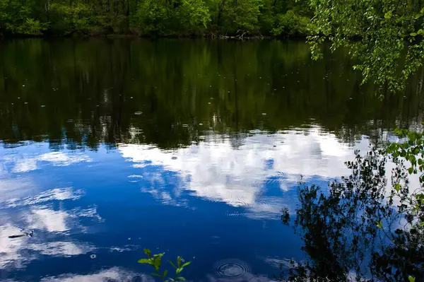 池の岸からの眺め 雲は水の中に反射します 春の緑の海岸 — ストック写真