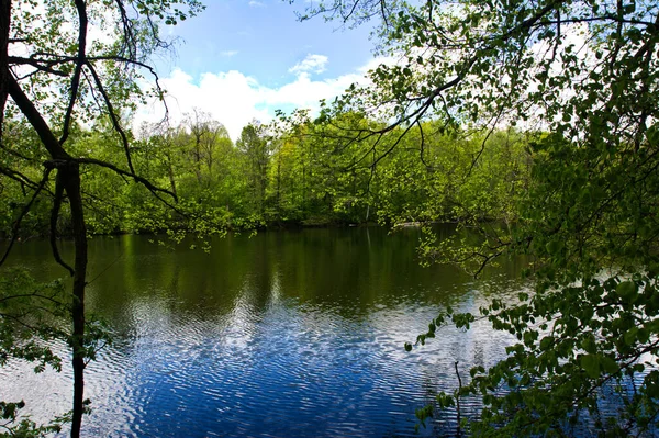 Vista Del Viejo Estanque Con Bancos Primavera Reflexión Agua — Foto de Stock