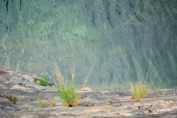 穏やかな水面のきれいな湖の底に生えている木 — ストック写真
