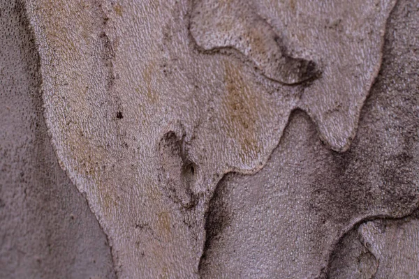 Textura de madera con influjo — Foto de Stock