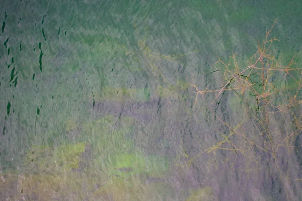 穏やかな水面のきれいな湖の底に生えている木 — ストック写真