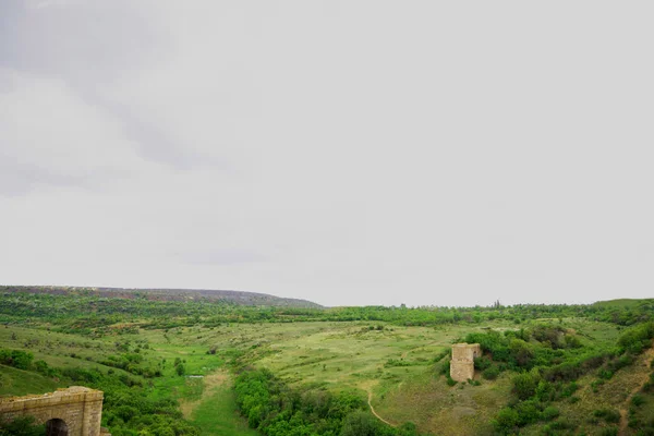 Vue sur la vallée envahie par l'herbe verte — Photo