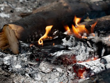 Sarı-kırmızı alev ormanda bir şenlik ateşinin üzerinde dans ediyor.