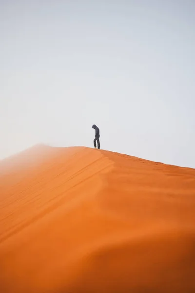 Enfant Solitaire Sur Une Dune Sable Namibie — Photo