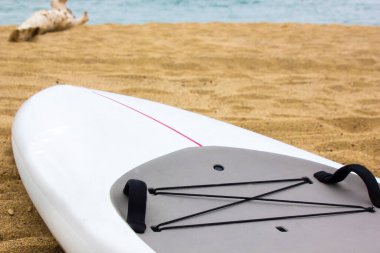 Yaklaş - Yarış tahtasının bir parçası Sahilde Stand Up Paddle - ekstrem spor ve macera