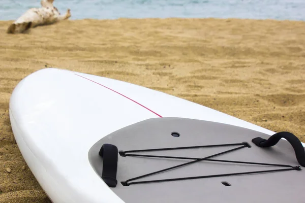 Cerca Parte Tabla Carreras Stand Paddle Playa Deporte Extremo Aventura — Foto de Stock