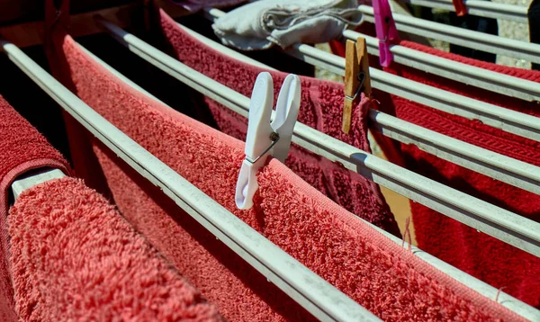 Mandallar ipte kıyafet taşıyor.