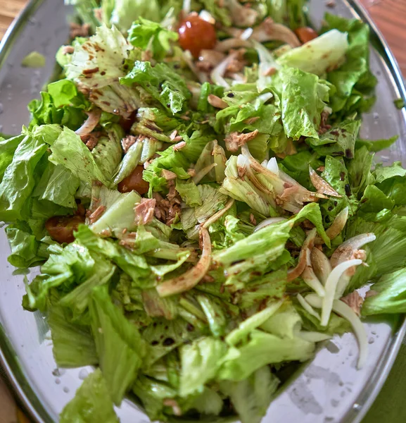 Gümüş Tepside Yeşil Salata — Stok fotoğraf