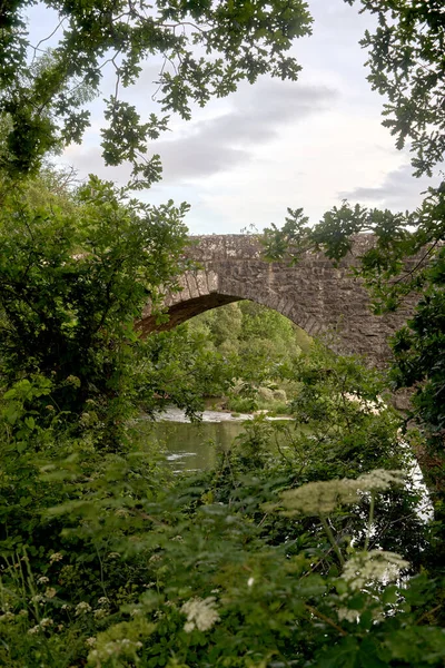 Vegetación Frondosa Con Puente Piedra Romana — Foto de Stock