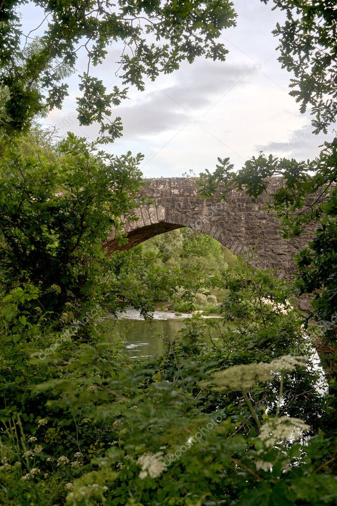 leafy vegetation with roman stone bridge