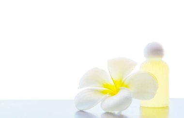  Beyaz arka plan üzerinde Spa Frangipani çiçek
