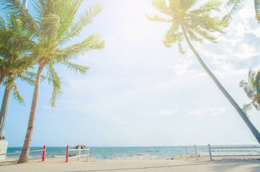 Mavi gökyüzüne karşı palmiye ağaçları.