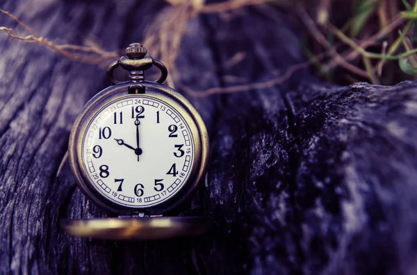 Reloj Bolsillo Vintage Madera Registro —  Fotos de Stock